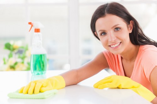 Domestic cleaning in W6 living room cleaning scene