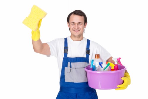 Professional domestic cleaning routine in W6 home