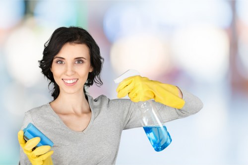 Inclusive carpet cleaning website experience for W6 visitors