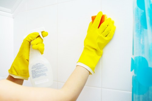 Professional carpet cleaning process in a W6 property