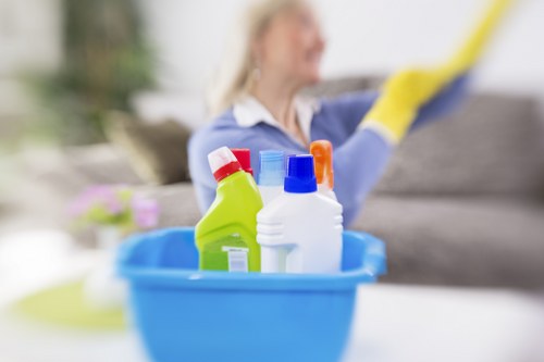 Local cleaning service for W6 apartments and houses