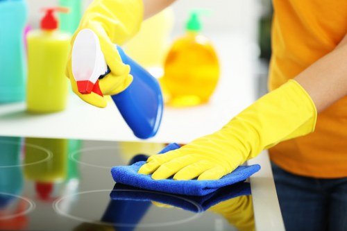Upholstery stain removal service for a fabric sofa in W6