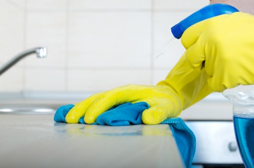 Professional carpet cleaning service in W6 with careful care